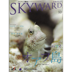 JAL skyward